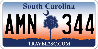 SC license plate AMN344