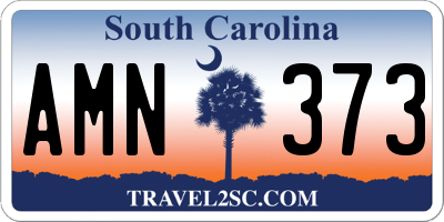 SC license plate AMN373
