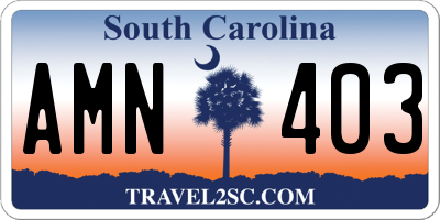 SC license plate AMN403