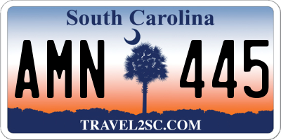SC license plate AMN445