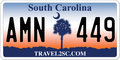 SC license plate AMN449