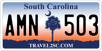 SC license plate AMN503