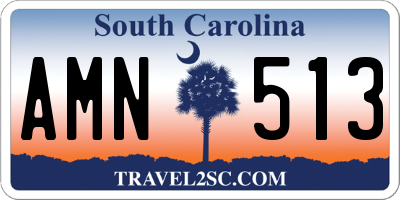 SC license plate AMN513