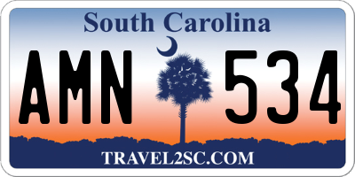 SC license plate AMN534