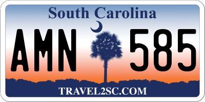 SC license plate AMN585