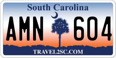 SC license plate AMN604