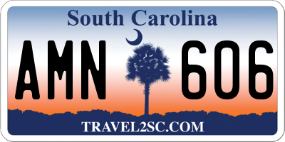 SC license plate AMN606