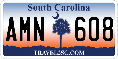 SC license plate AMN608