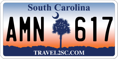SC license plate AMN617