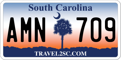 SC license plate AMN709