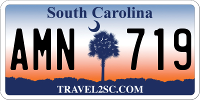 SC license plate AMN719