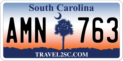 SC license plate AMN763