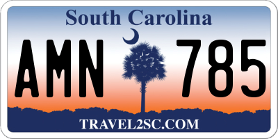 SC license plate AMN785