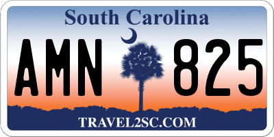SC license plate AMN825