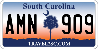 SC license plate AMN909