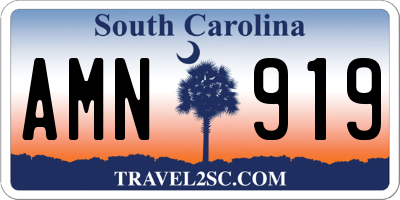 SC license plate AMN919