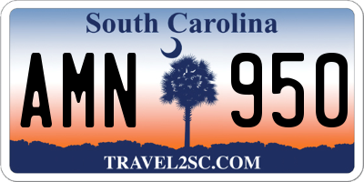 SC license plate AMN950