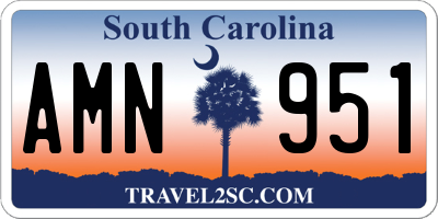 SC license plate AMN951