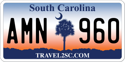 SC license plate AMN960