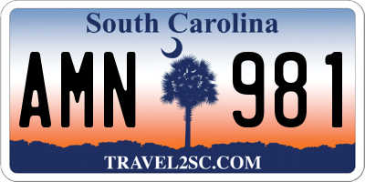 SC license plate AMN981