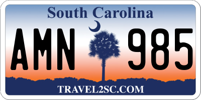 SC license plate AMN985