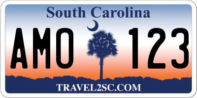 SC license plate AMO123
