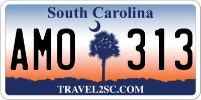 SC license plate AMO313