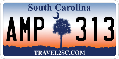 SC license plate AMP313