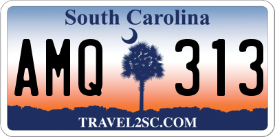 SC license plate AMQ313