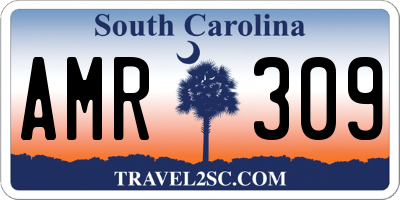 SC license plate AMR309