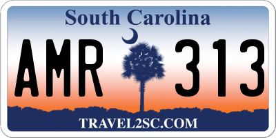 SC license plate AMR313