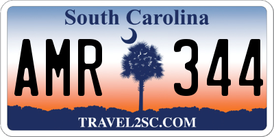 SC license plate AMR344