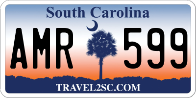 SC license plate AMR599