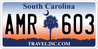 SC license plate AMR603