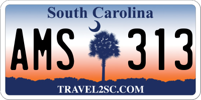 SC license plate AMS313