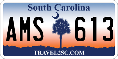 SC license plate AMS613