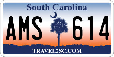 SC license plate AMS614