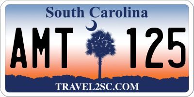 SC license plate AMT125