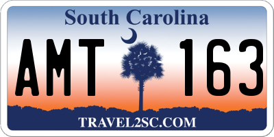SC license plate AMT163