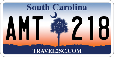 SC license plate AMT218