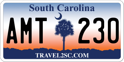 SC license plate AMT230