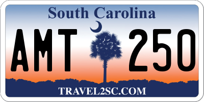 SC license plate AMT250