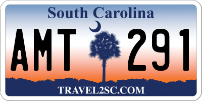 SC license plate AMT291