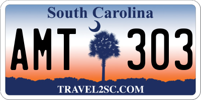 SC license plate AMT303