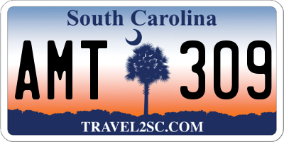 SC license plate AMT309