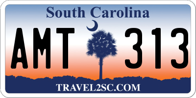 SC license plate AMT313