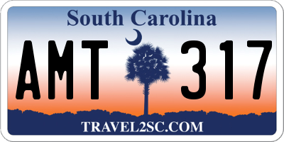 SC license plate AMT317