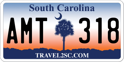 SC license plate AMT318