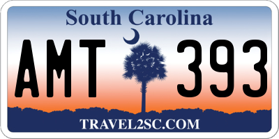 SC license plate AMT393