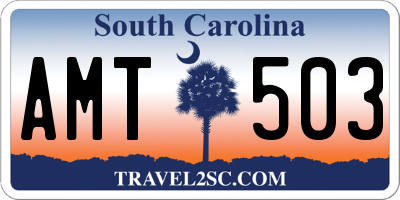 SC license plate AMT503